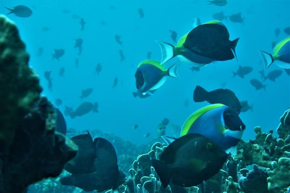 סבאנג Pulau Weh Paradise מראה חיצוני תמונה